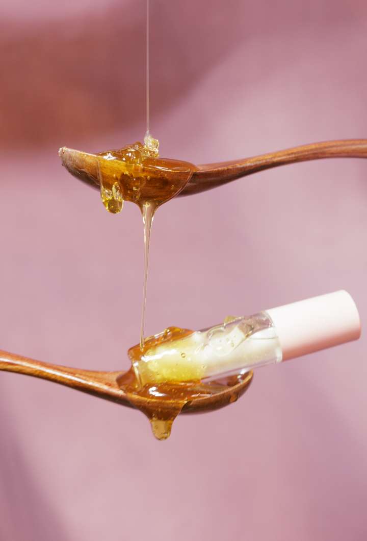 Honey Bee