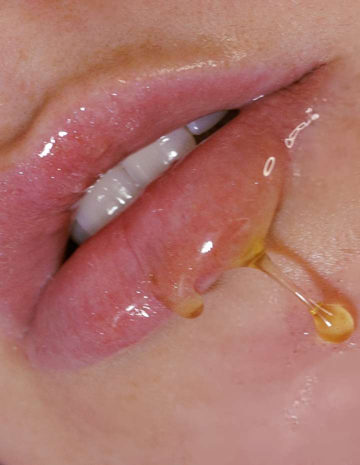 Honey Bee